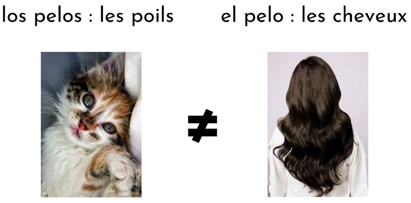 Un récapitulatif illustré de la différence entre "el pelo" et "los pelos" en espagnol.